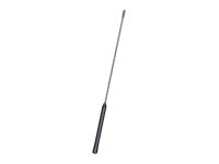 Panorama AFGB-S4 - antenna