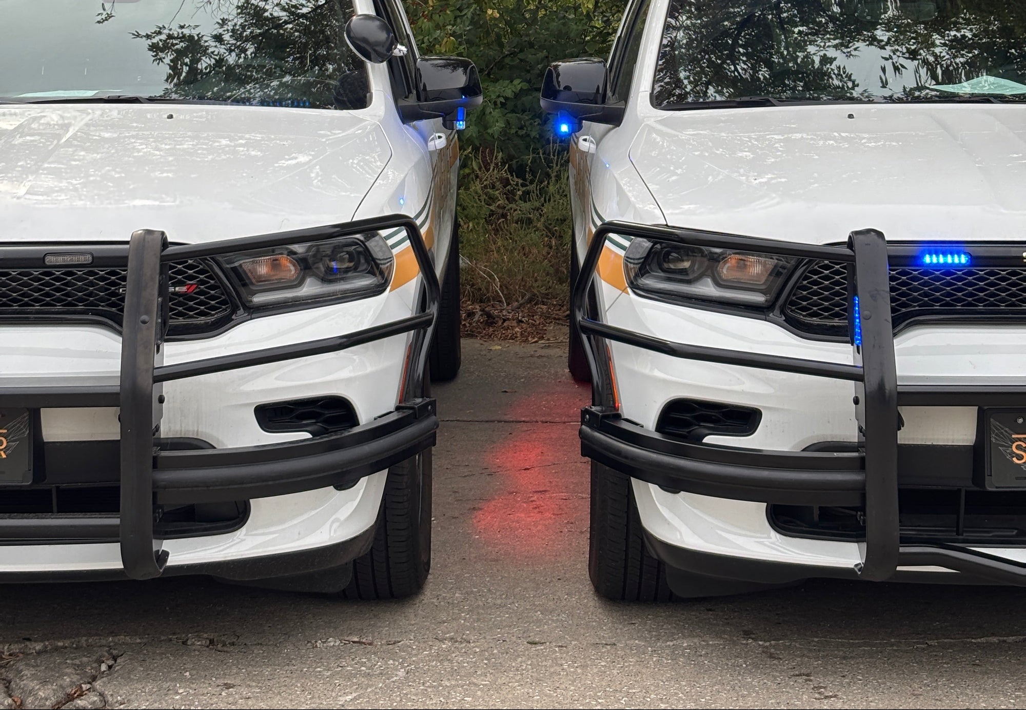 Two police cars with flashing lights on a road surrounded by trees
