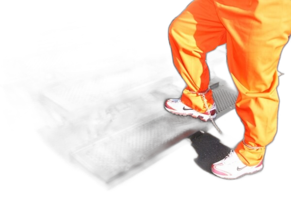 Flip-Down Step Option
